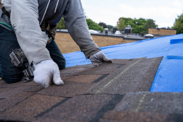 Professional Roofing Contractor in Limestone Creek, FL
