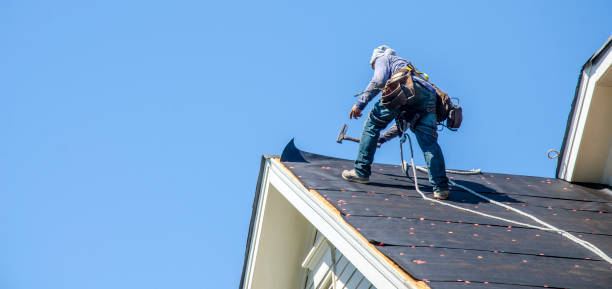 Best Roof Waterproofing Services  in Limestone Creek, FL